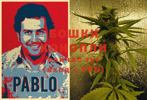 дурь Белокуриха