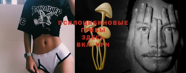 хмурый Белоозёрский
